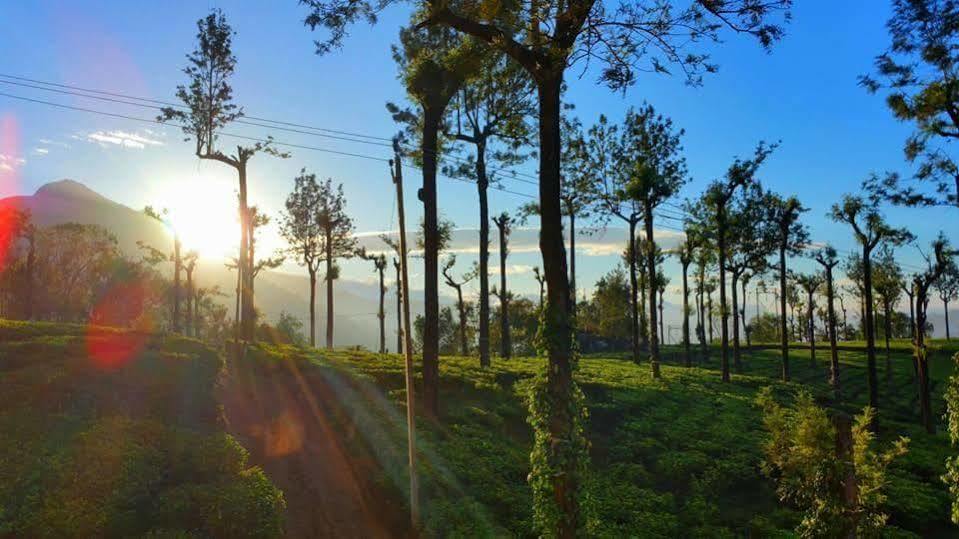 Gruenberg Tea Plantation Haus Acomodação com café da manhã Munnar Exterior foto