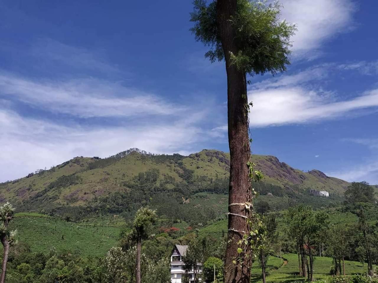 Gruenberg Tea Plantation Haus Acomodação com café da manhã Munnar Exterior foto